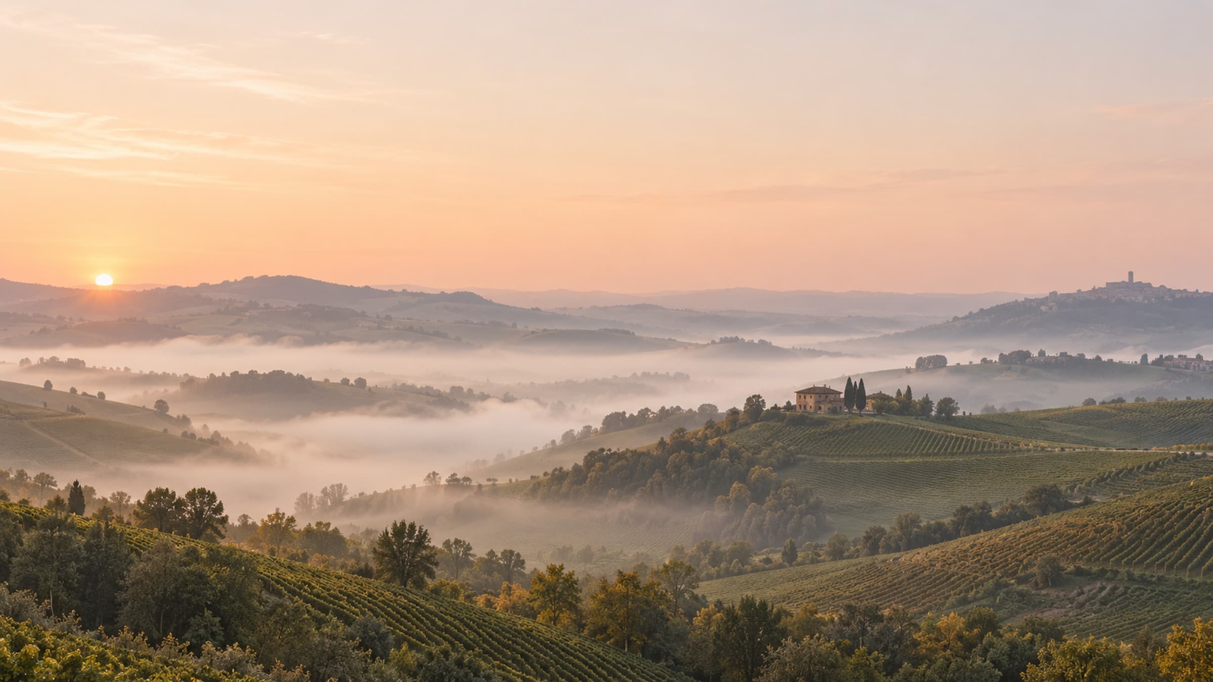 Rolling Langhe hills in Piedmont at first light with low fog